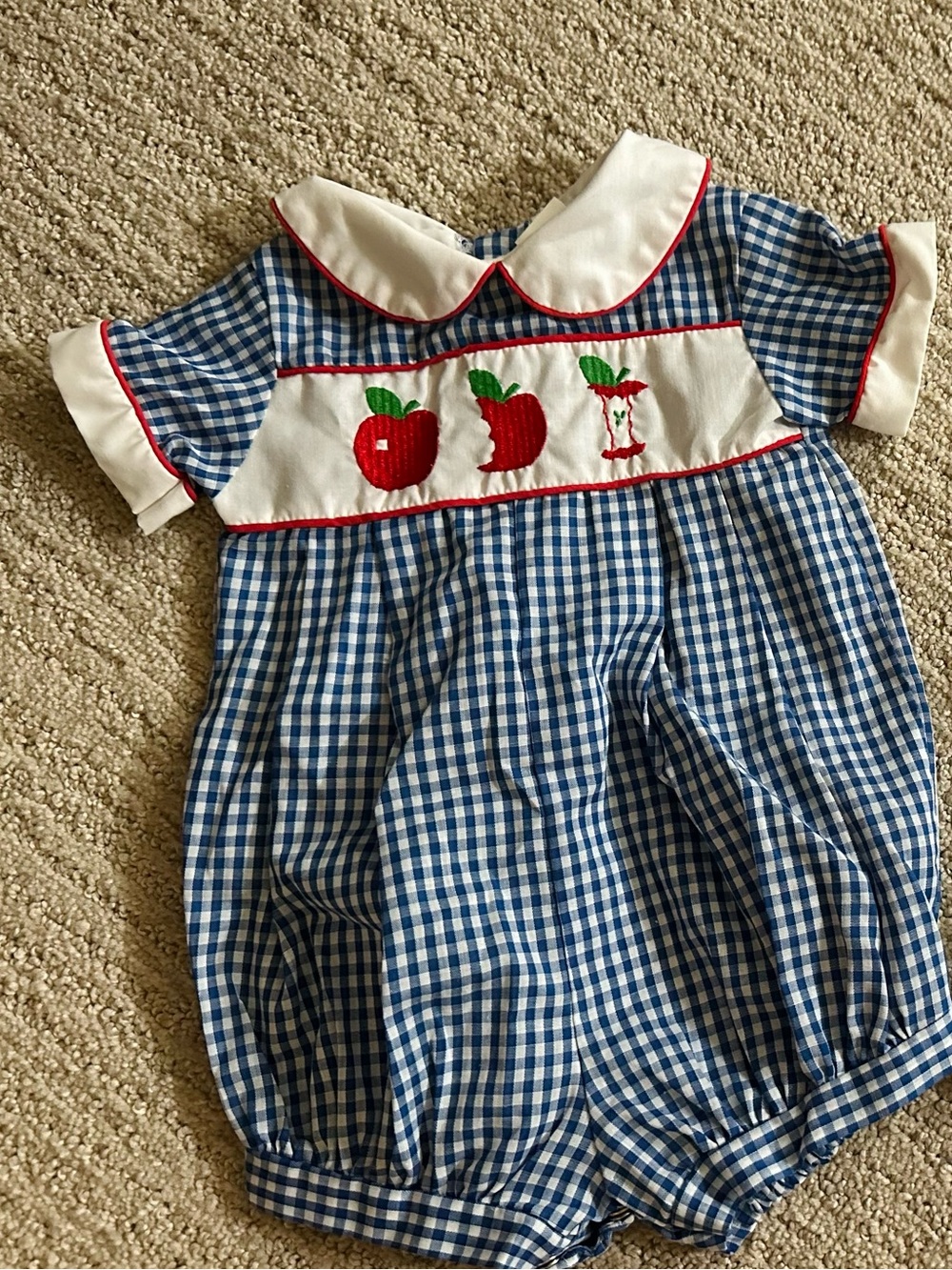 Blue Gingham with Stitched Apples
